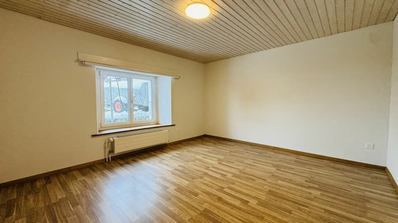 Low-maintenance two-family house with 2 residential units, garage, and 4-5 parking spaces in Ramlinsburg (6)