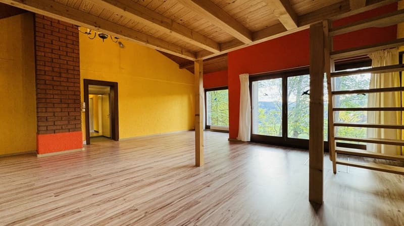 Casa unifamiliare di 5.5 locali per 1-2 famiglie - garage, grande giardino, vista panoramica (13)