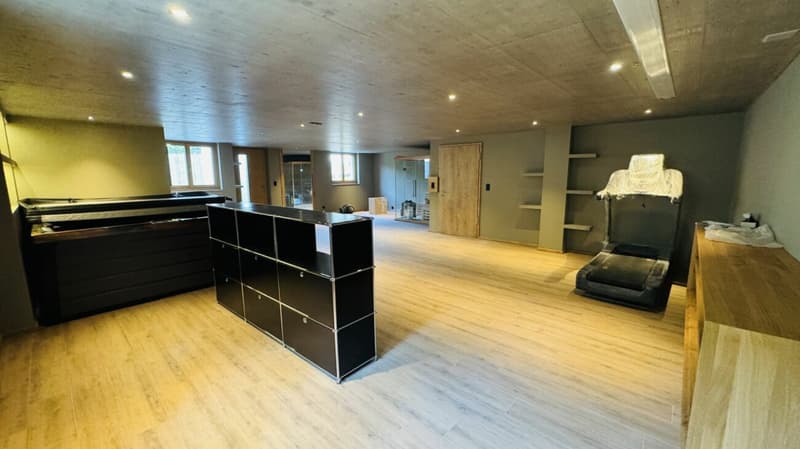 Affitto in un esclusivo MFH - Abitare e Lavorare combinati (16)