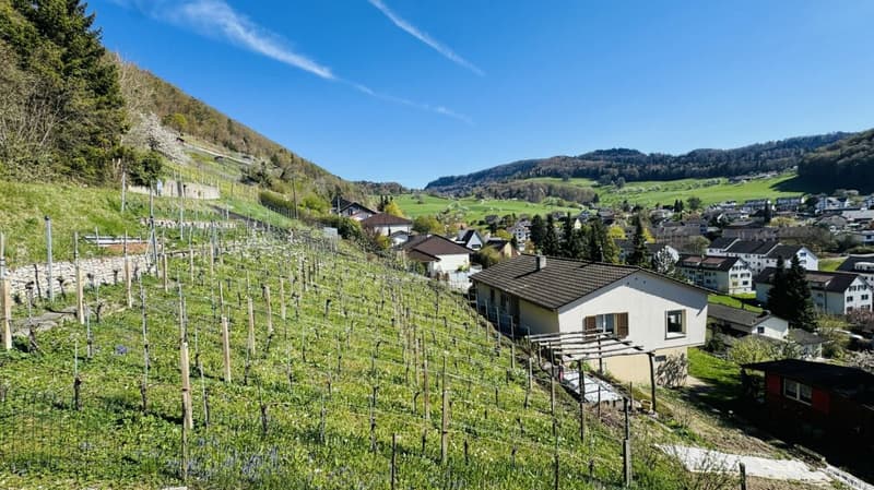 Maison d'architecte de 6,5 pièces avec piscine, garage, 3 places de parking et vue dégagée (4)
