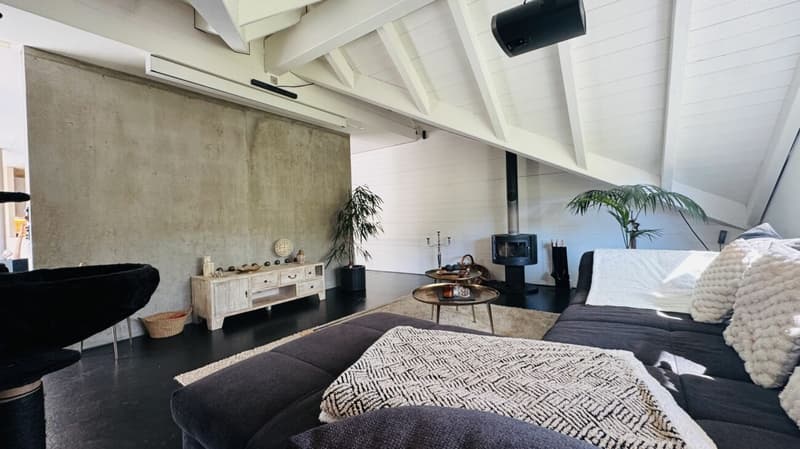 Maison d'architecte de 6,5 pièces avec piscine, garage, 3 places de parking et vue dégagée (21)