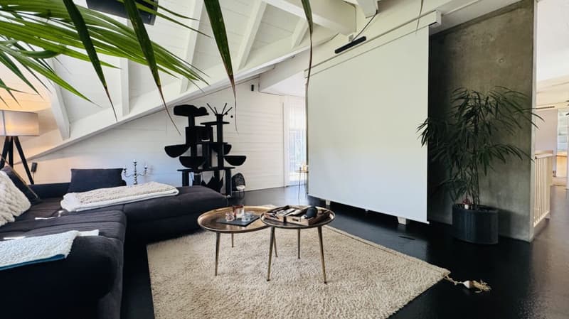 Maison d'architecte de 6,5 pièces avec piscine, garage, 3 places de parking et vue dégagée (20)