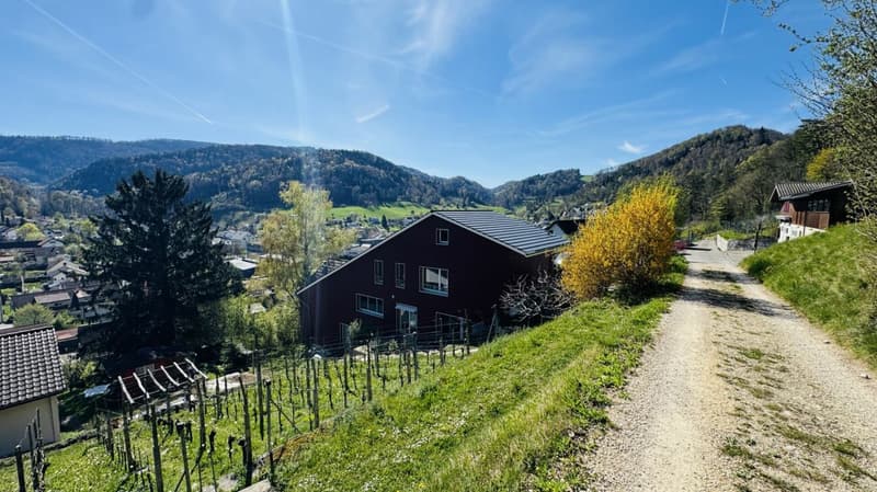 Maison d'architecte de 6,5 pièces avec piscine, garage, 3 places de parking et vue dégagée (2)