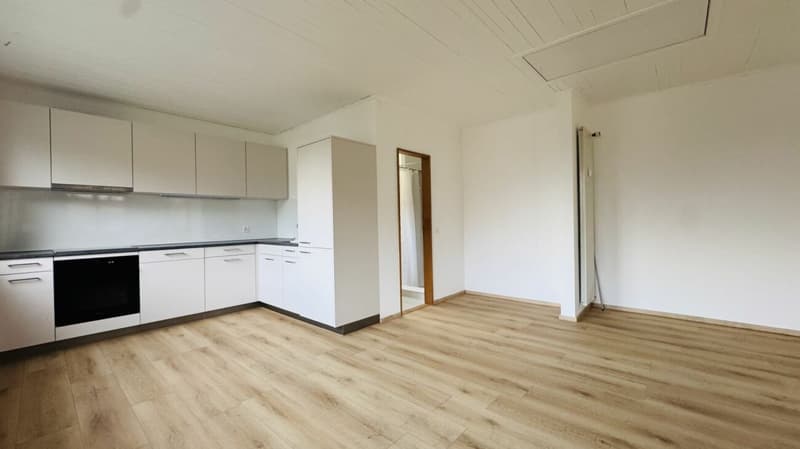 Maisonette di 2,5 locali ben tenuta con giardino & lavatrice/asciugatrice privata in una casa di 2 famiglie - disponibile immediatamente (4)