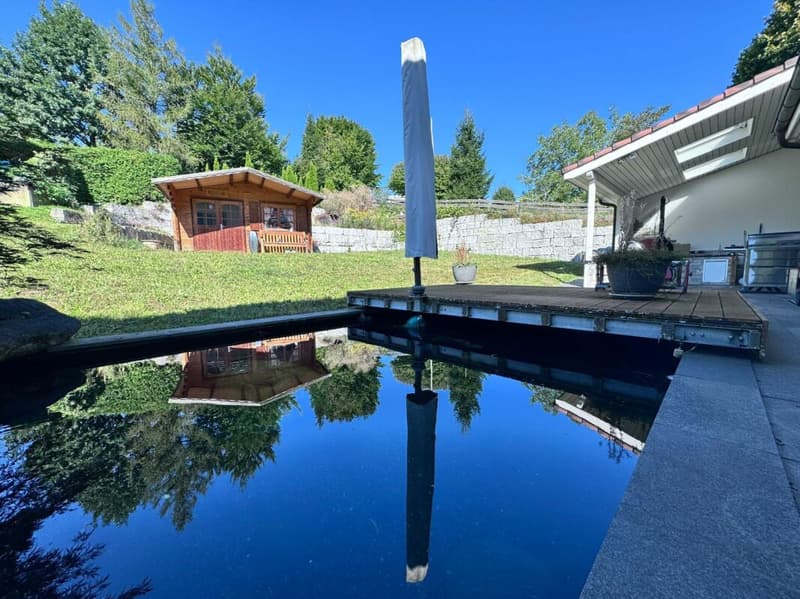 Large, like-new 6.5-room single-family home, 6 garage spaces + 4 parking spaces, koi pond, home cinema, 3 wet cells, dreamy location, only 10 minutes from Bubendorf (3)