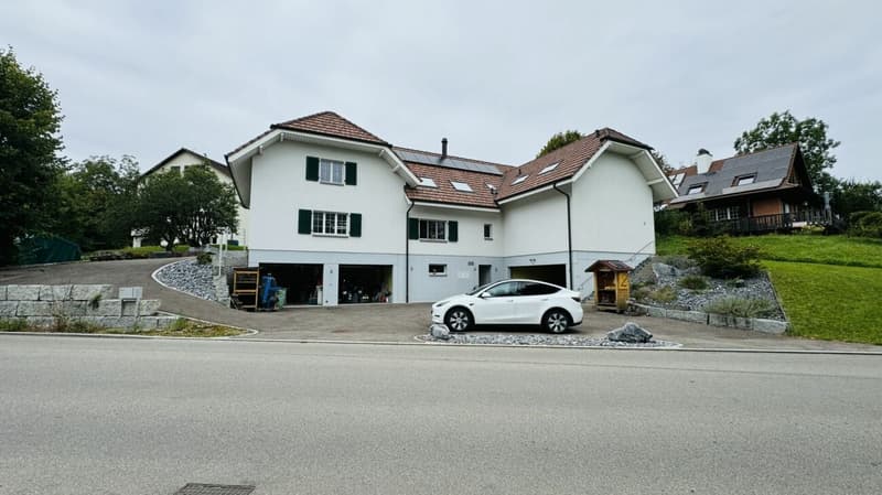 Large, like-new 6.5-room single-family home, 6 garage spaces + 4 parking spaces, koi pond, home cinema, 3 wet cells, dreamy location, only 10 minutes from Bubendorf (15)