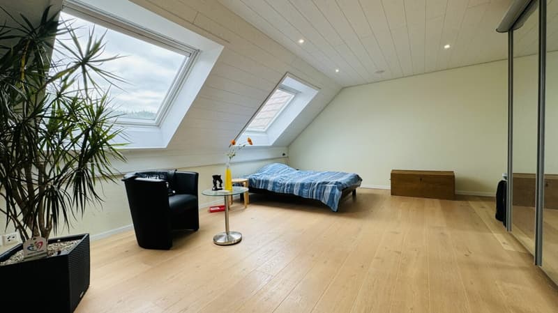 Large, like-new 6.5-room single-family home, 6 garage spaces + 4 parking spaces, koi pond, home cinema, 3 wet cells, dreamy location, only 10 minutes from Bubendorf (23)