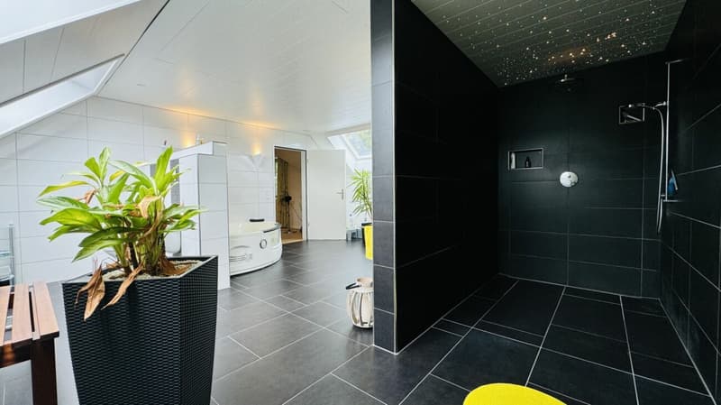Large, like-new 6.5-room single-family home, 6 garage spaces + 4 parking spaces, koi pond, home cinema, 3 wet cells, dreamy location, only 10 minutes from Bubendorf (14)