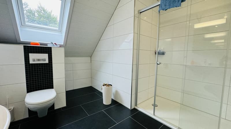 Large, like-new 6.5-room single-family home, 6 garage spaces + 4 parking spaces, koi pond, home cinema, 3 wet cells, dreamy location, only 10 minutes from Bubendorf (22)