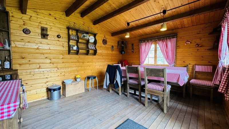 Large, like-new 6.5-room single-family home, 6 garage spaces + 4 parking spaces, koi pond, home cinema, 3 wet cells, dreamy location, only 10 minutes from Bubendorf (41)