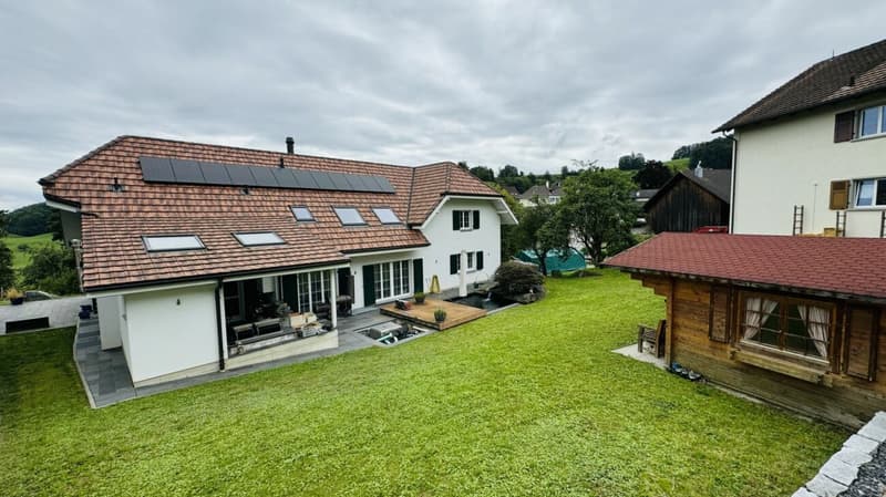 Large, like-new 6.5-room single-family home, 6 garage spaces + 4 parking spaces, koi pond, home cinema, 3 wet cells, dreamy location, only 10 minutes from Bubendorf (25)