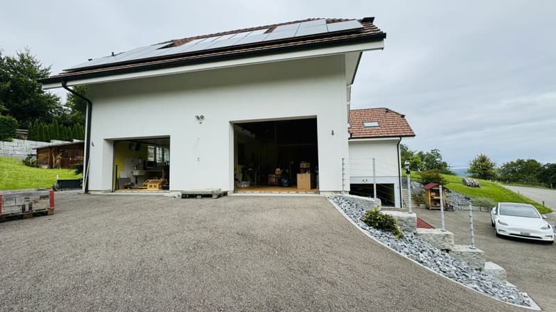 Large, like-new 6.5-room single-family home, 6 garage spaces + 4 parking spaces, koi pond, home cinema, 3 wet cells, dreamy location, only 10 minutes from Bubendorf (29)