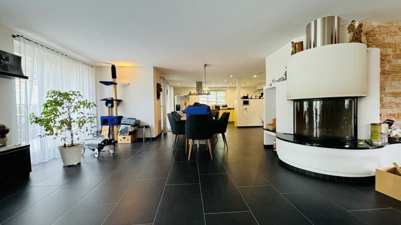 Large, like-new 6.5-room single-family home, 6 garage spaces + 4 parking spaces, koi pond, home cinema, 3 wet cells, dreamy location, only 10 minutes from Bubendorf (10)