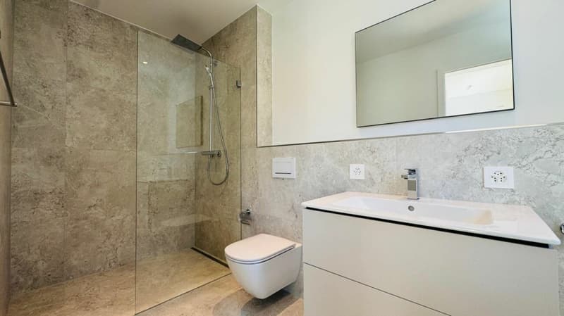 Newly built apartment on the 1st floor (w2), balcony, elevator, basement, and 1 AEHP (12)