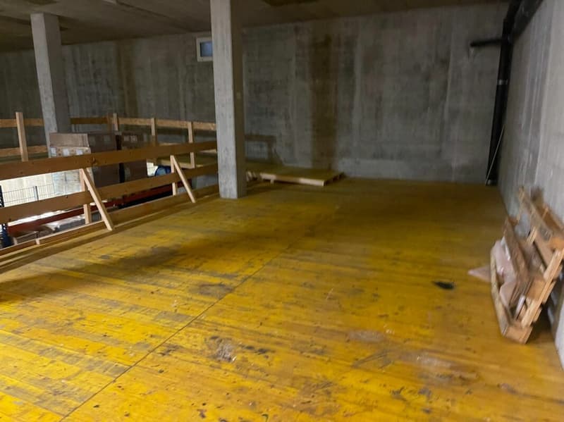 Commercial space and storage area in Aesch BL (2)