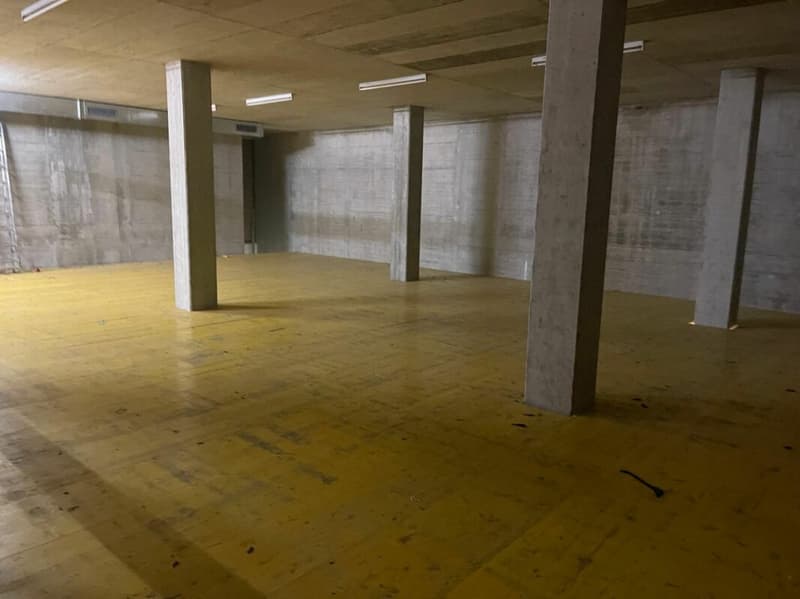 Commercial space and storage area in Aesch BL (1)