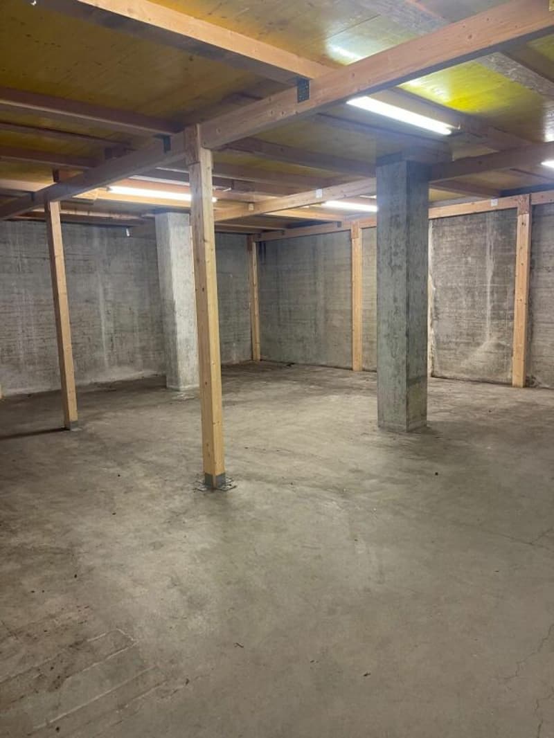 Commercial space and storage area in Aesch BL (4)