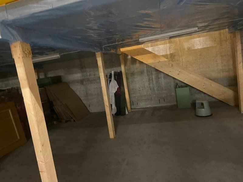 Commercial space and storage area in Aesch BL (3)
