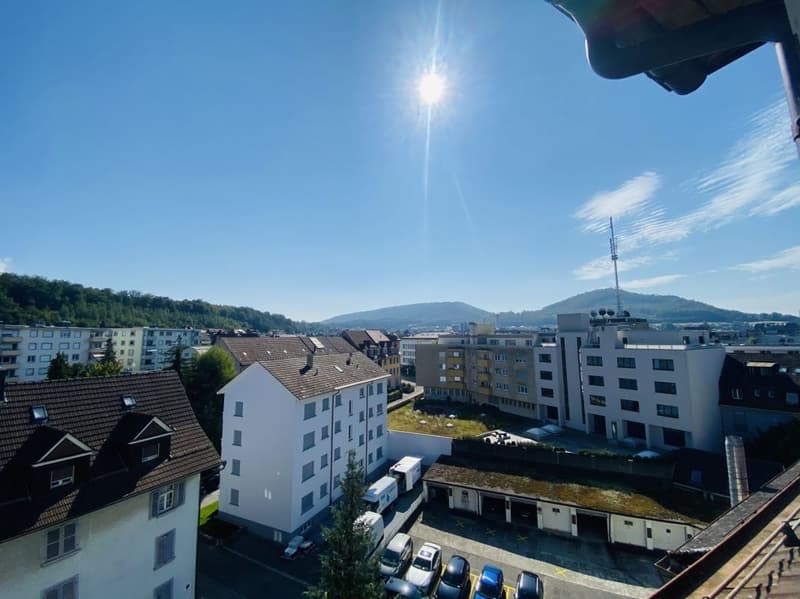 Total renovierte 2.5-Zimmer mit Balkon und Kellerabteil (1013) (9)