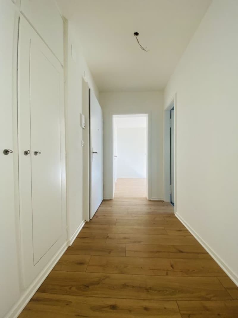 Total renovierte 2.5-Zimmer mit Balkon und Kellerabteil (1013) (2)