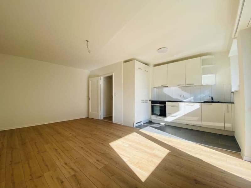 Total renovierte 2.5-Zimmer mit Balkon und Kellerabteil (1013) (1)