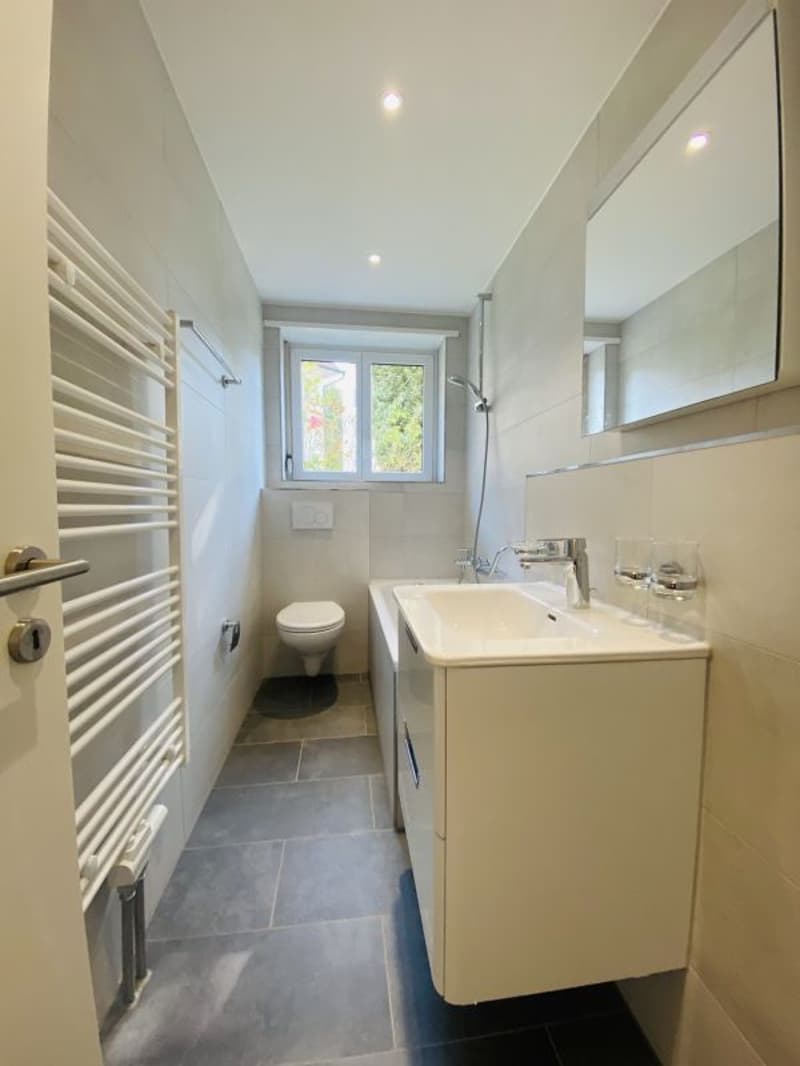 Total renovierte 2.5-Zimmer mit Balkon und Kellerabteil (1013) (4)