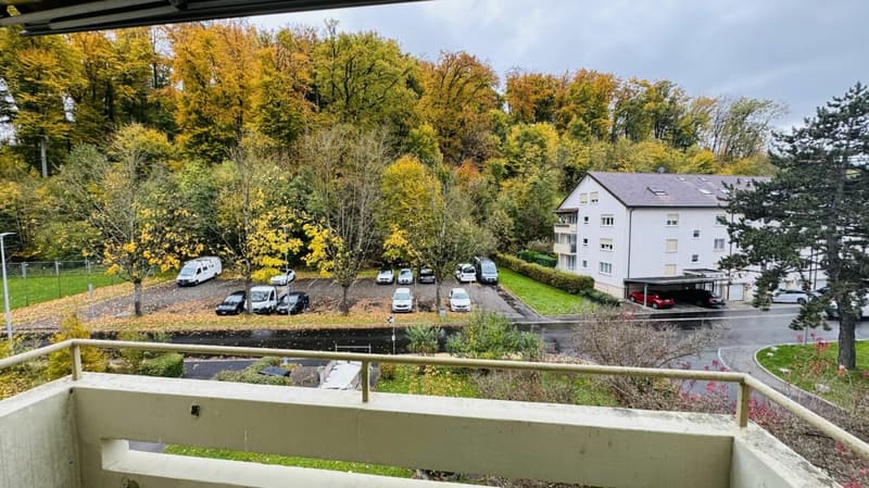 2.5-Zimmer: Balkon, Aussicht, Kellerabteil - per sofort (5)