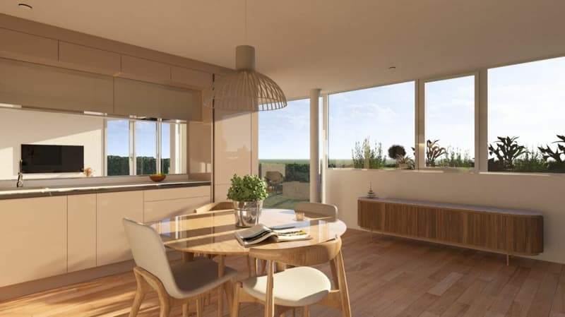 Only 2 apartments available - approved new construction project (3)