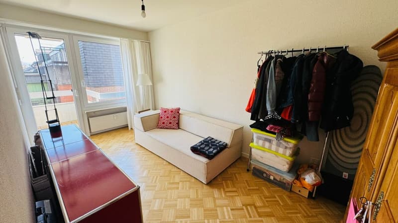 Completely renovated 3.5-room apartment with 2 bathrooms, 2 balconies, and 1 underground parking space (11)