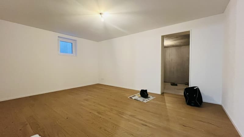 Casa unifamiliare nuova da 5,5 locali con 2 bagni, carport, posto auto e giardino a Duggingen (17)