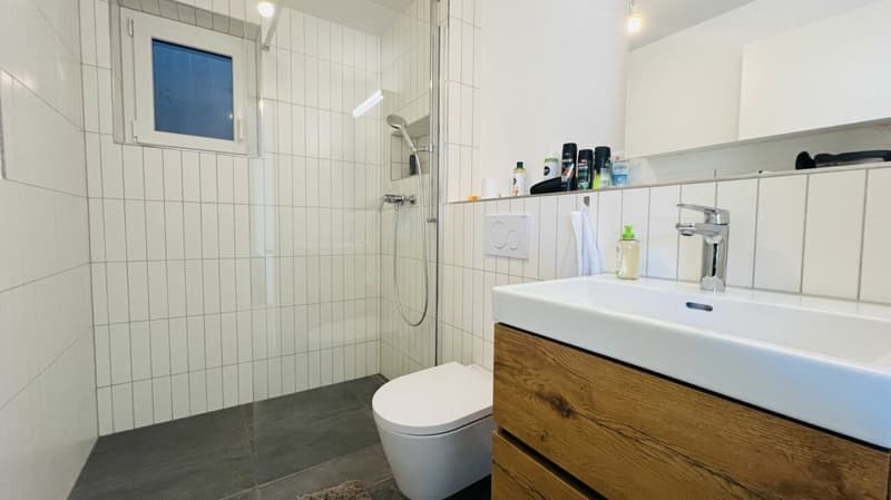 Casa unifamiliare nuova da 5,5 locali con 2 bagni, carport, posto auto e giardino a Duggingen (20)