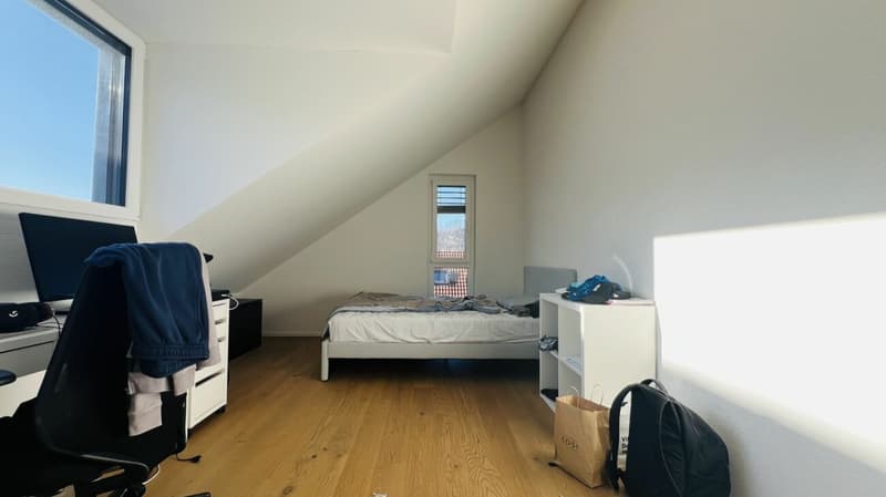 Casa unifamiliare nuova da 5,5 locali con 2 bagni, carport, posto auto e giardino a Duggingen (15)