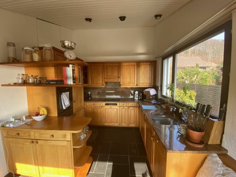 Detached 5.5-room single-family house with winter garden, garage, and sunny garden (12)