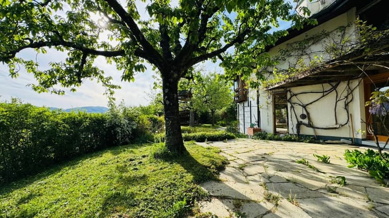 Spacious single-family home with 2 apartments, parking, panoramic views, and garden in top location (3)
