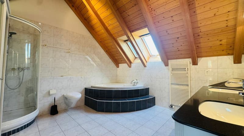 Detached 4.5-room single-family house with pool, sauna, winter garden, double garage & view (9)