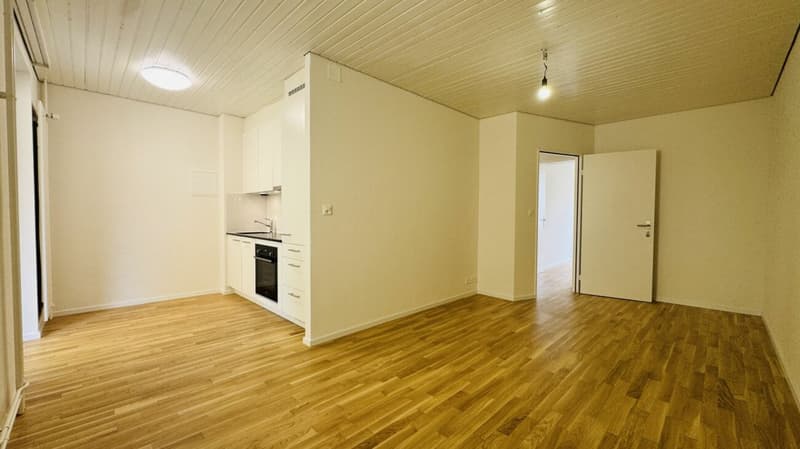 First occupancy 2.5-room apartment with private washing machine/tumbler, large balcony, and cellar compartment (3)