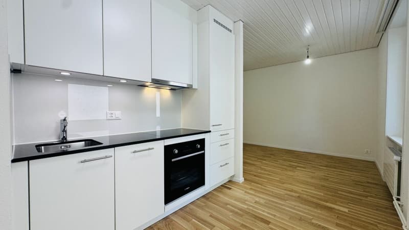 First occupancy 2.5-room apartment with private washing machine/tumbler, large balcony, and cellar compartment (2)