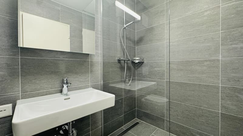 First occupancy 2.5-room apartment with private washing machine/tumbler, large balcony, and cellar compartment (5)