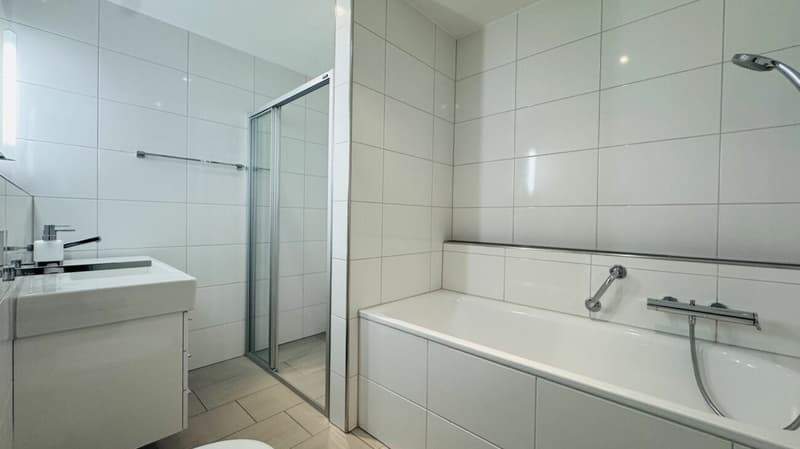 4.5-room maisonette with balcony, 2 wet cells, 2 underground parking spaces, laundry tower, and cellar (14)