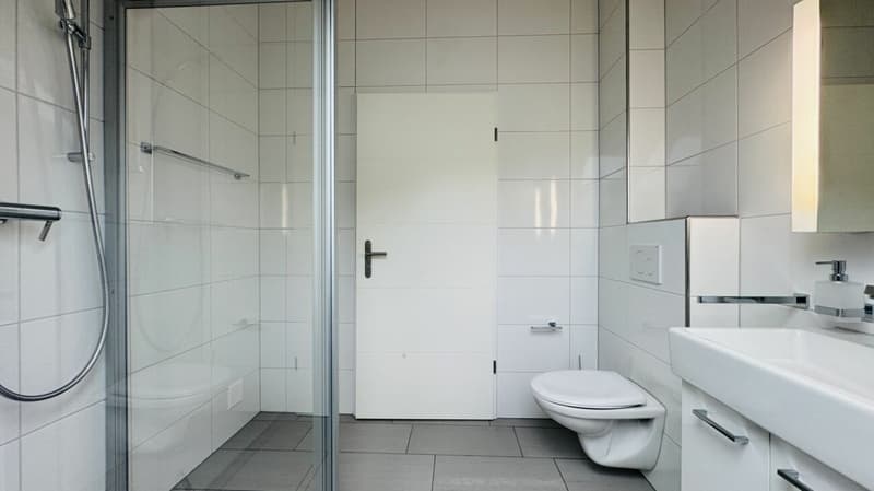 4.5-room maisonette with balcony, 2 wet cells, 2 underground parking spaces, laundry tower, and cellar (23)