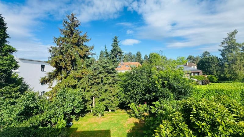 Beautiful 6.5-room semi-detached house with winter garden, garden & parking in top location (25)