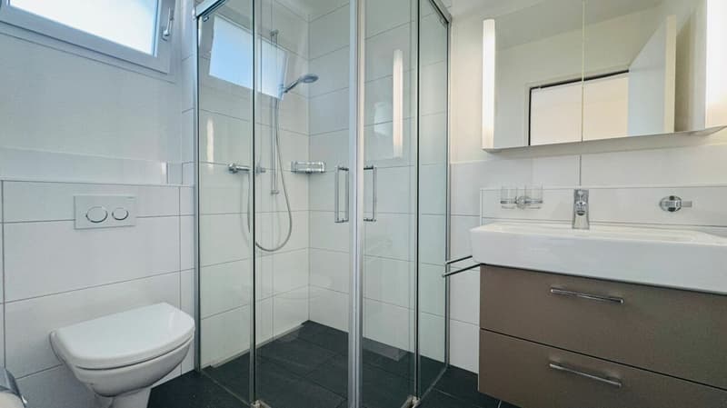 Beautiful 6.5-room semi-detached house with winter garden, garden & parking in top location (5)