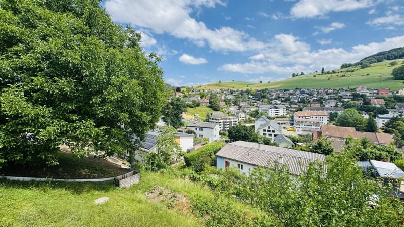 Freistehendes 5-Zimmer-EFH mit Garage, Vorplatz, Balkon, Garten und schöner Aussicht (5)