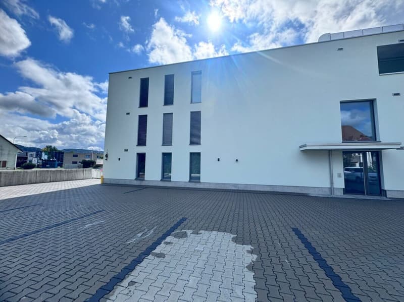 Appartamento moderno esclusivo 4.5 locali con grande terrazza & torre di lavanderia (17)