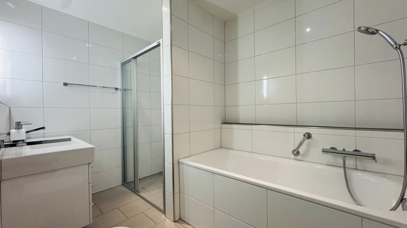 4.5-room maisonette with balcony, 2 wet cells, 2 underground parking spaces, laundry tower, and cellar (8)