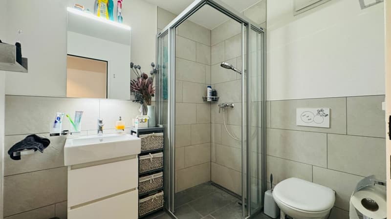 Maisonette spacieuse de 5,5 pièces avec jardin, veranda, 2 salles de bain, atelier et place de parking (6)