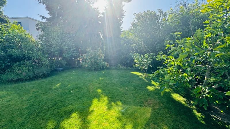 Beautiful 6.5-room semi-detached house with winter garden, garden & parking at top location (21)