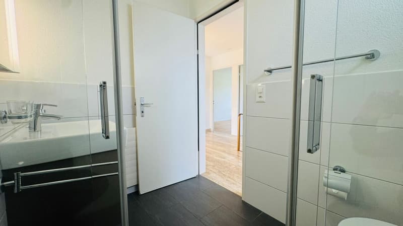 Beautiful 6.5-room semi-detached house with winter garden, garden & parking at top location (8)