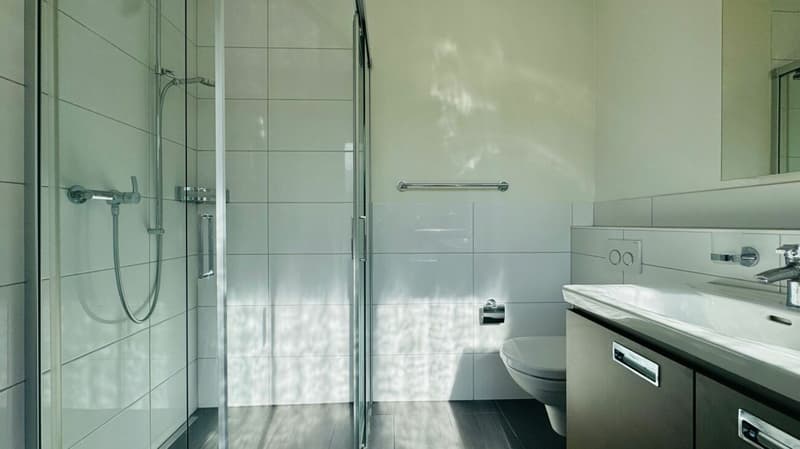 Beautiful 6.5-room semi-detached house with winter garden, garden & parking at top location (7)