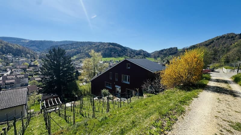 Casa di 6,5 locali con piscina, garage, 3 posti auto e vista aperta (10)